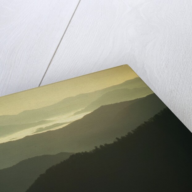 Great Smoky Mountains by Anonymous