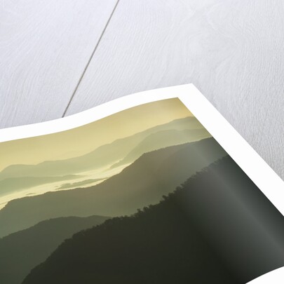 Great Smoky Mountains by Anonymous