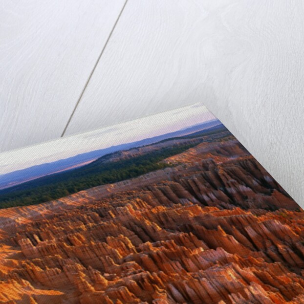 Bryce Amphitheater by Anonymous