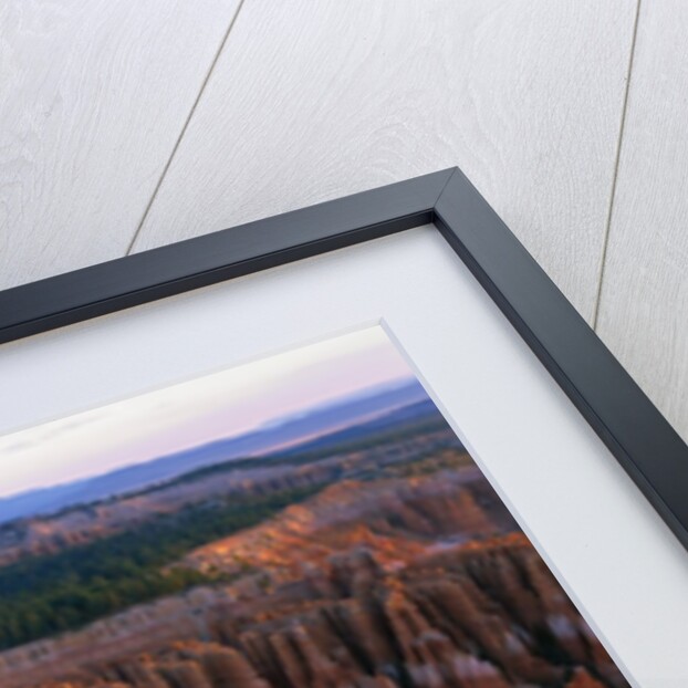 Bryce Amphitheater by Anonymous