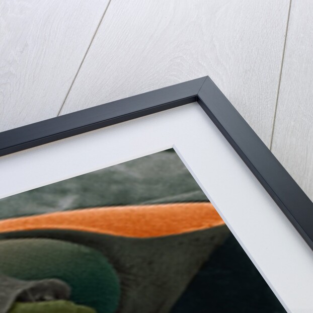 Microscopic View of Ladybug by Anonymous