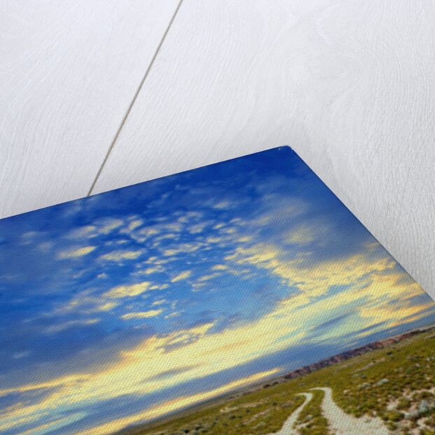 Dirt Road in Grand Canyon National Park by Anonymous