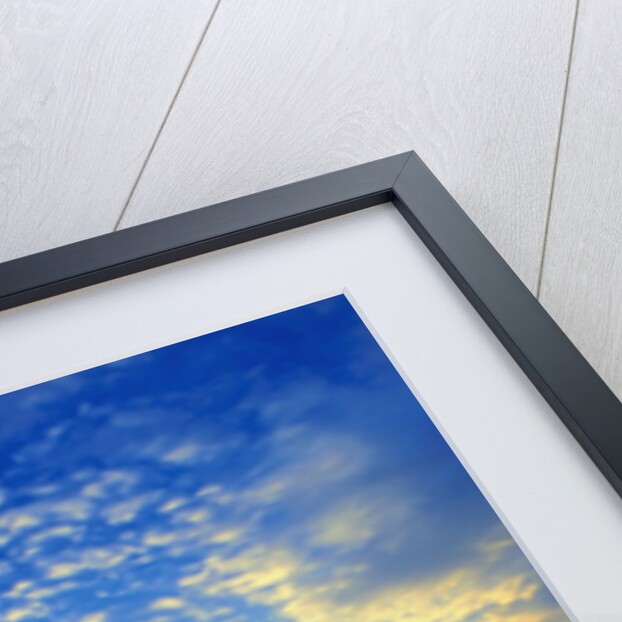 Dirt Road in Grand Canyon National Park by Anonymous