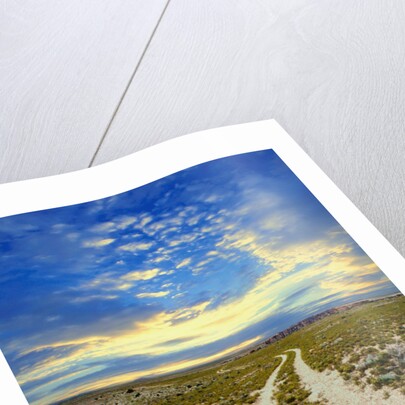 Dirt Road in Grand Canyon National Park by Anonymous