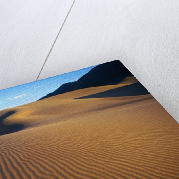 Sand Dunes in Death Valley by Anonymous