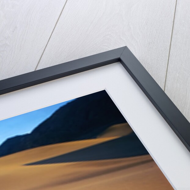 Sand Dunes in Death Valley by Anonymous