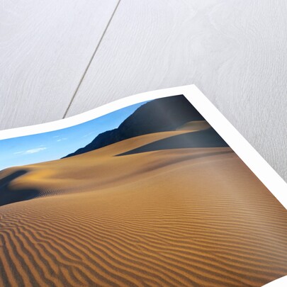 Sand Dunes in Death Valley by Anonymous