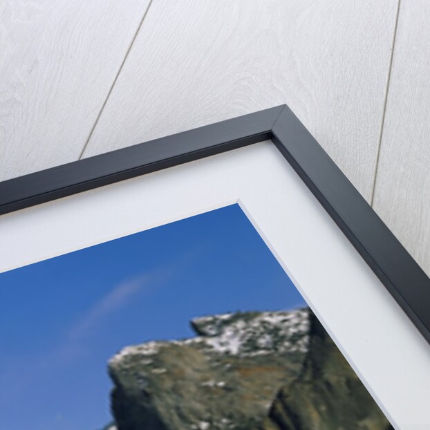 Yosemite Valley Landmarks by Anonymous