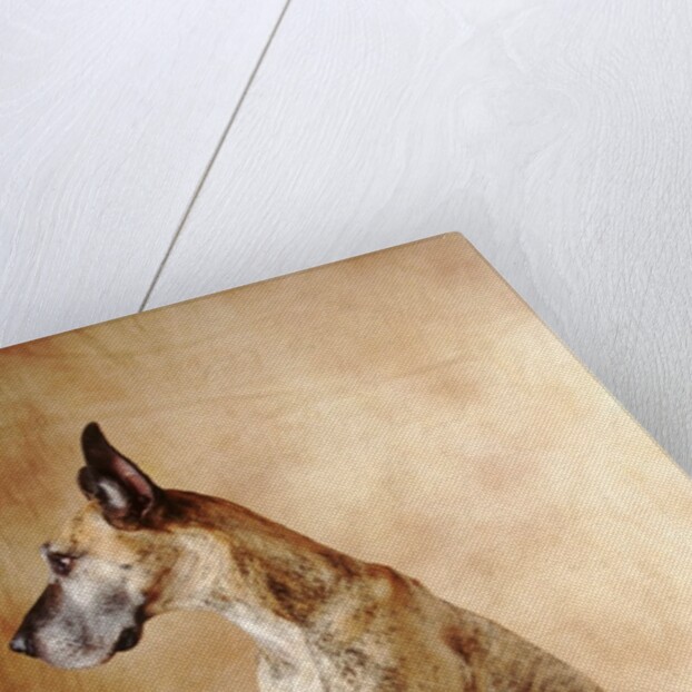 Papillon and Great Dane by Anonymous