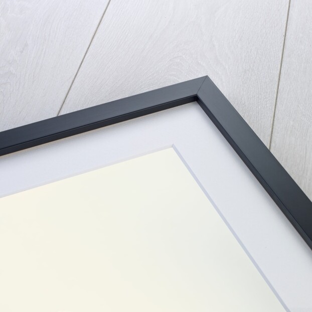 Pair of Cocker Spaniel Puppies by Anonymous