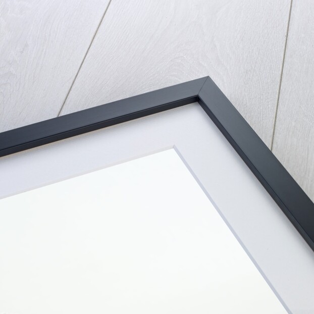 Bichon Frise Puppy Wearing Bonnet by Anonymous