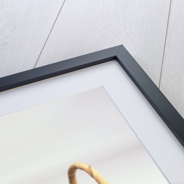 Kitten Sitting in Basket by Anonymous