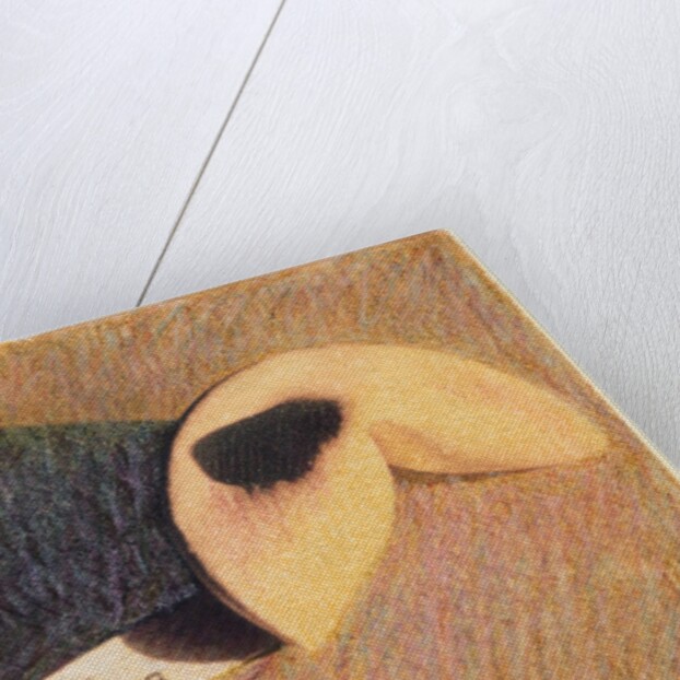 Fortune Cookie by Jennifer Kennard
