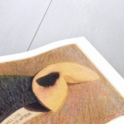 Fortune Cookie by Jennifer Kennard
