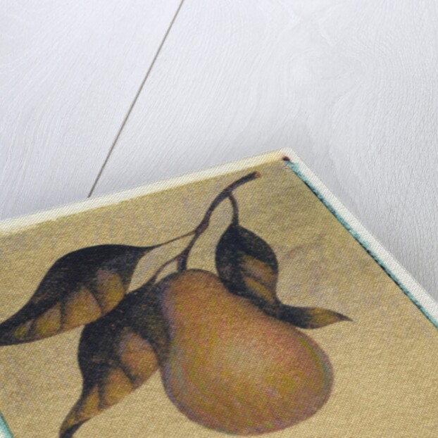 Single Pear by Jennifer Kennard