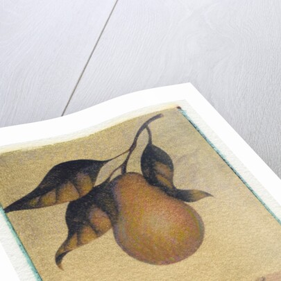 Single Pear by Jennifer Kennard