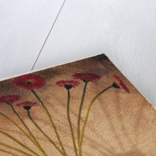 Gerbera by Jennifer Kennard