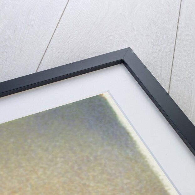 Cape Cod Bay by Jennifer Kennard