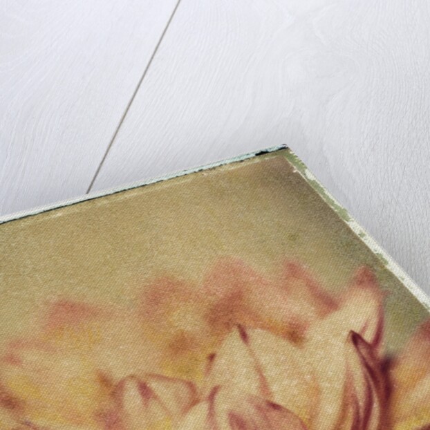 Dahlia by Jennifer Kennard