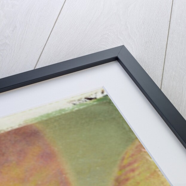 Deciduous Azalea by Jennifer Kennard