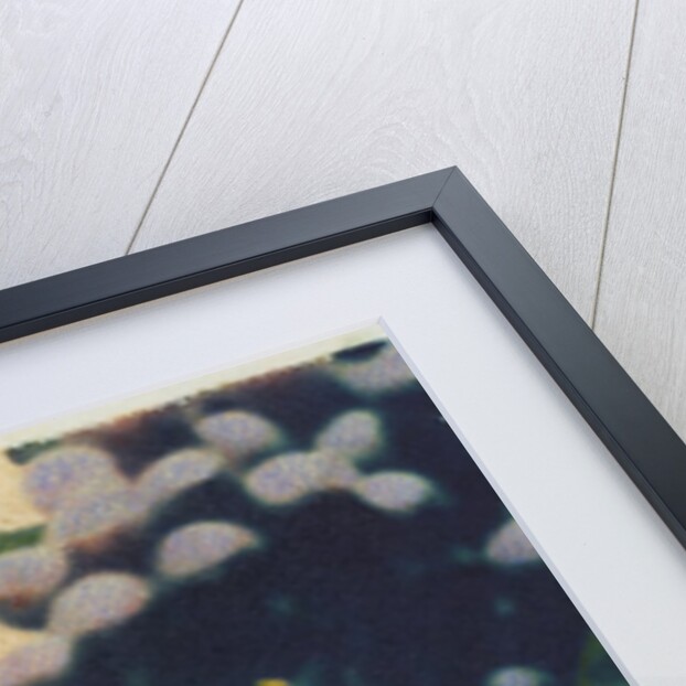 Merlot #2 by Jennifer Kennard