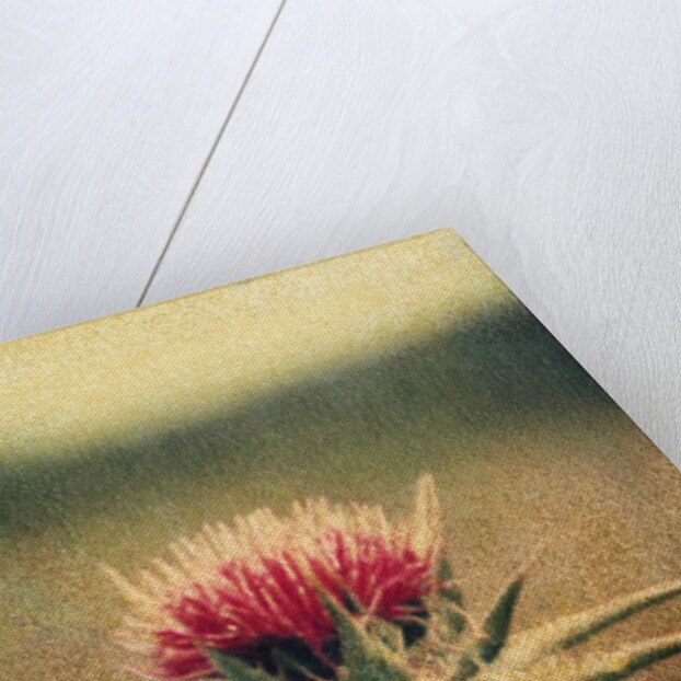 Thistle by Jennifer Kennard