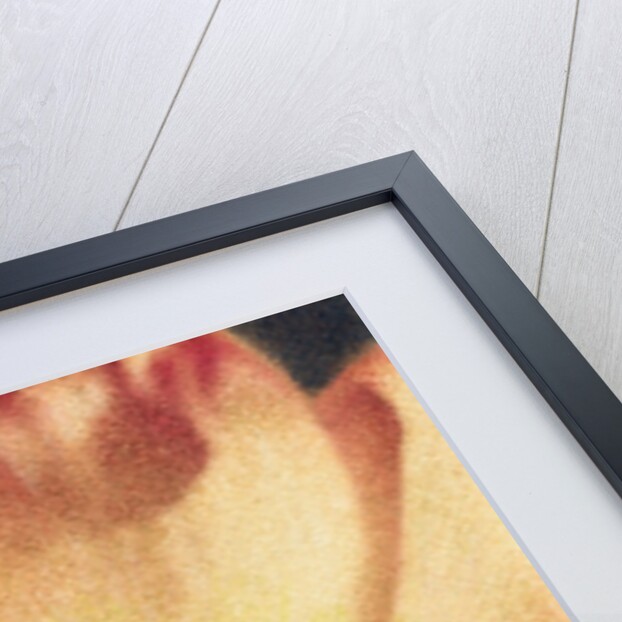 Anemone by Jennifer Kennard