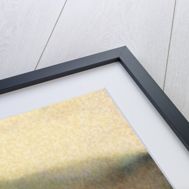 Thistle #2 by Jennifer Kennard