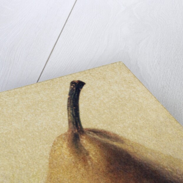 D'Anjou Pear by Jennifer Kennard