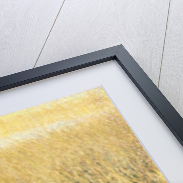 Beach Grass by Jennifer Kennard