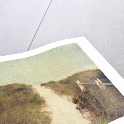 Beach Trail by Jennifer Kennard