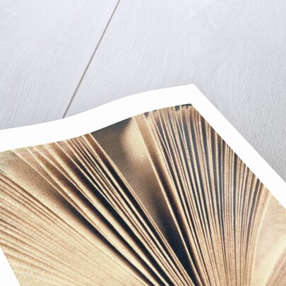 Open Book #8 by Jennifer Kennard