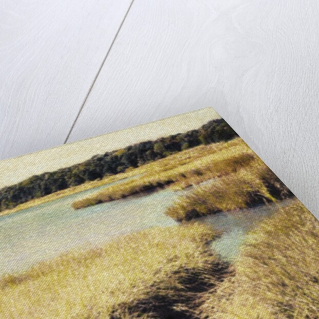 Cape Cod Tidelands by Jennifer Kennard