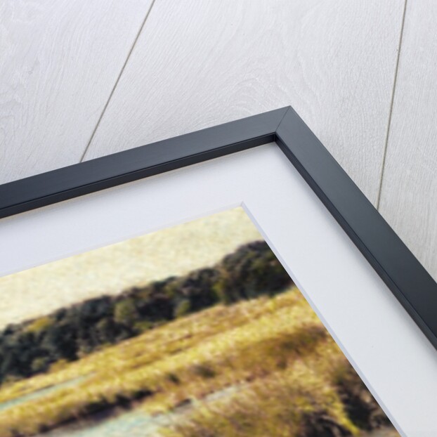 Cape Cod Tidelands by Jennifer Kennard