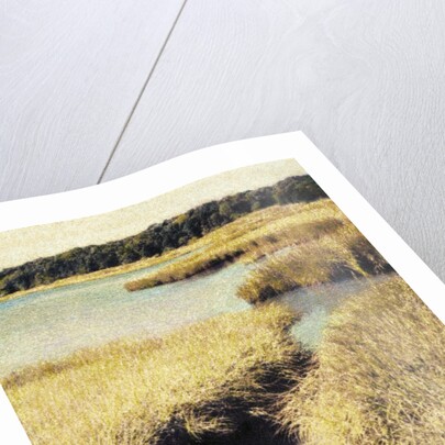 Cape Cod Tidelands by Jennifer Kennard