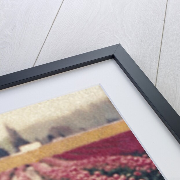 Skagit Valley Tulips by Jennifer Kennard