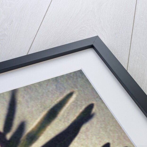 Evergreen Bough in Snow by Jennifer Kennard