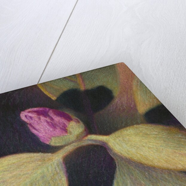 Rhododendron Bud by Jennifer Kennard