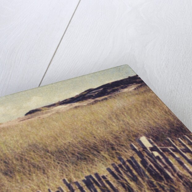 Cape Cod Sandunes by Jennifer Kennard