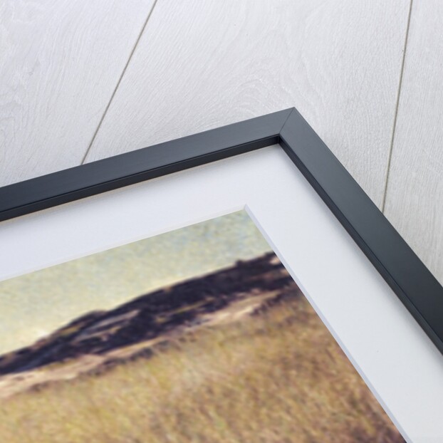 Cape Cod Sandunes by Jennifer Kennard