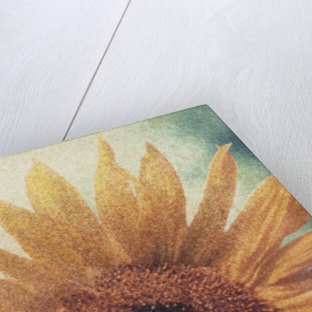 Sunflower by Jennifer Kennard