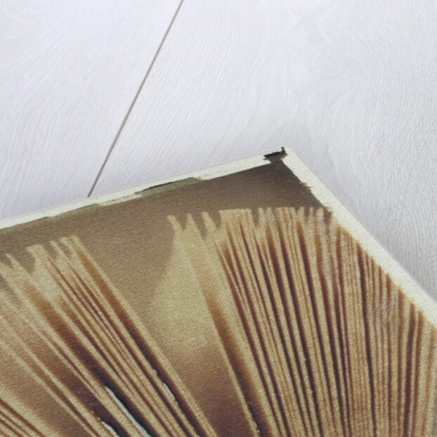 Book Pages #2 by Jennifer Kennard