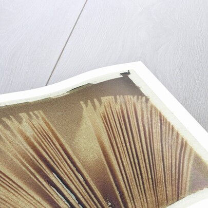 Book Pages #2 by Jennifer Kennard