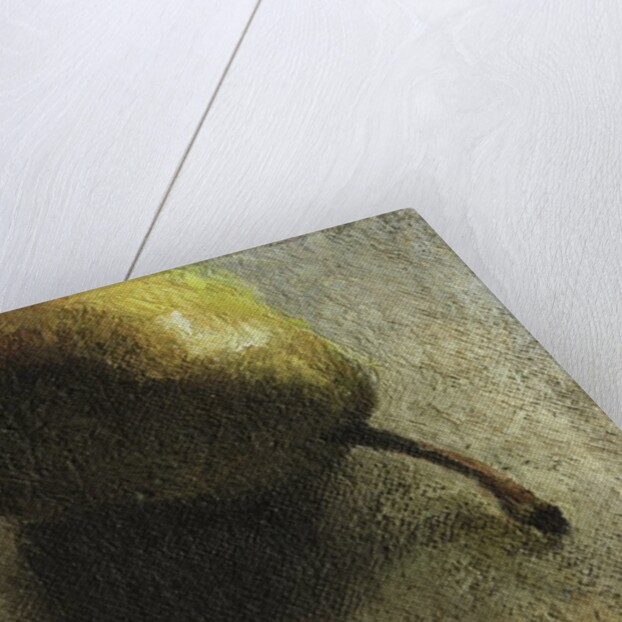 Pear and a Grape by Robert McIntosh