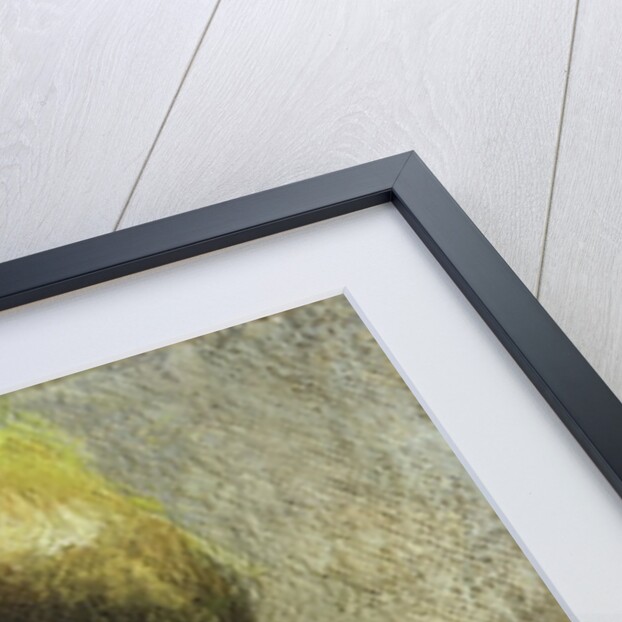 Pear and a Grape by Robert McIntosh