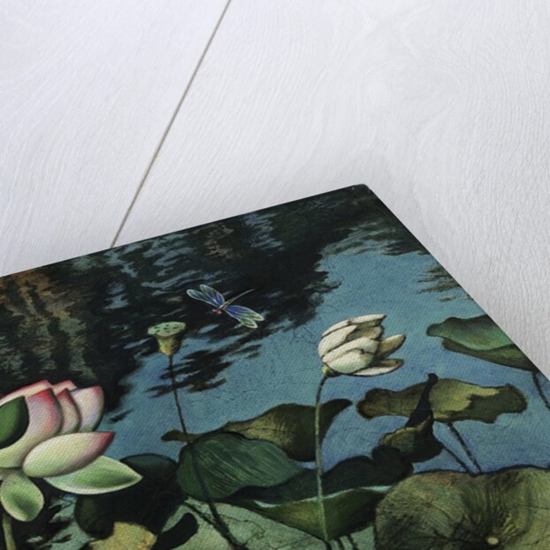 Lotus Collage by Robert McIntosh