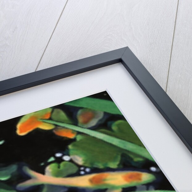 Goldfish Pond by Robert McIntosh