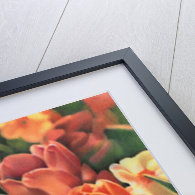 Tulips by Kirsten Soderlind