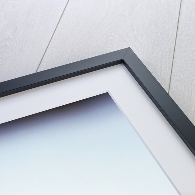 Red Fox in Snow by Anonymous