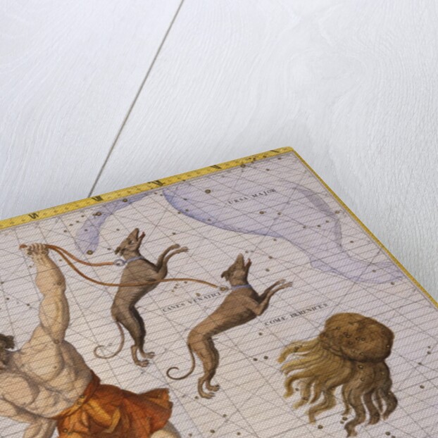 Constellation of Bootes by James Thornhill